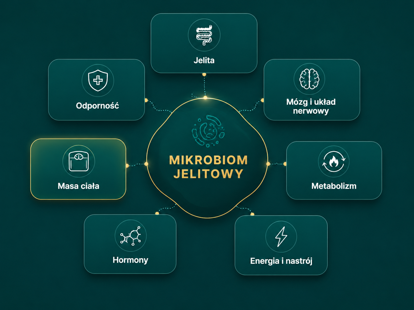 Infografika: wpływ mikrobiomu jelitowego na jelita, mózg i układ nerwowy, odporność, metabolizm, masę ciała, hormony oraz energię i nastrój